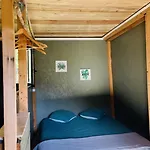 Cabane * Olivese