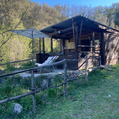 Cabane * Olivese
