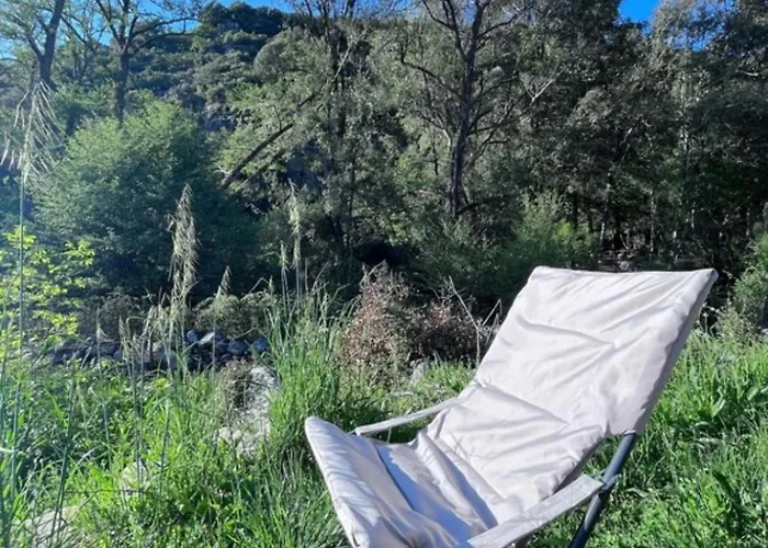 בית חווה Cabane Olivese