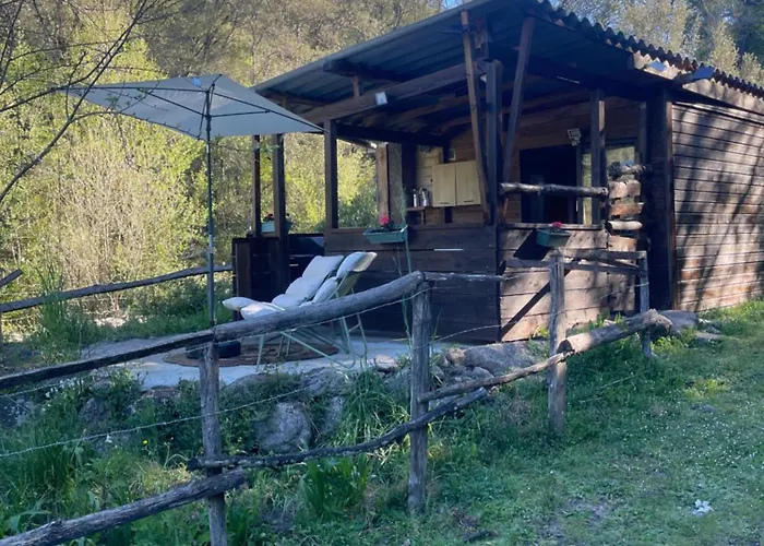 Cabane * Olivese