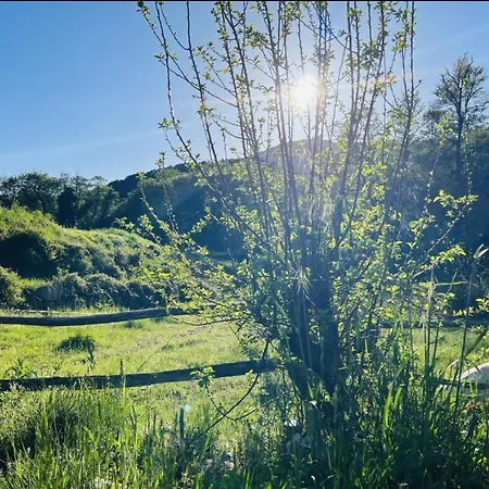 Cabane Farm stay