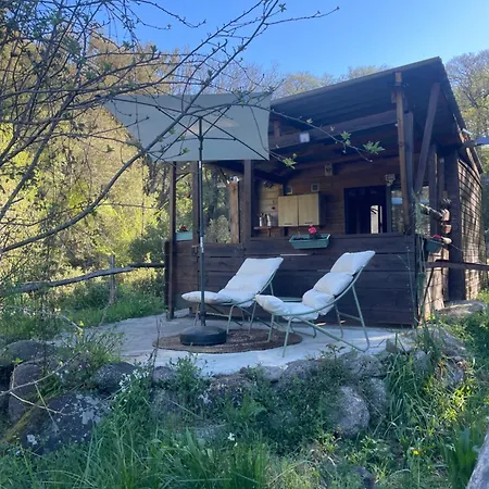 Cabane Olivese