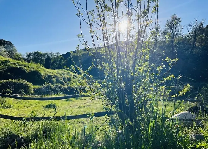 Cabane Farma