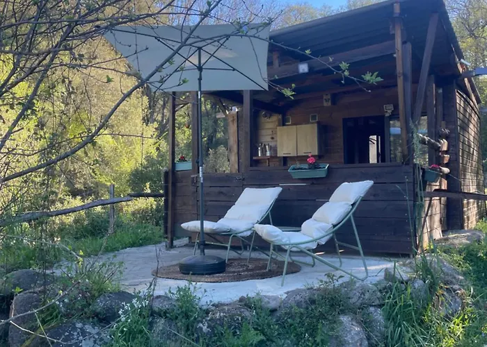 Cabane Olivese